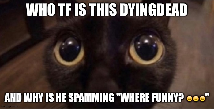 Weird | WHO TF IS THIS DYINGDEAD; AND WHY IS HE SPAMMING "WHERE FUNNY? 😐😐😐" | image tagged in skrunkly | made w/ Imgflip meme maker