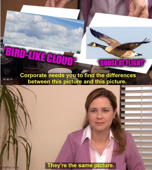 -Flying over swamps. | *BIRD-LIKE CLOUD*; *GOOSE AT FLIGHT* | image tagged in memes,they're the same picture,goose,flight attendant,totally looks like,twitter birds says | made w/ Imgflip meme maker