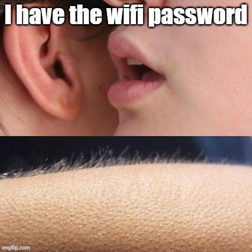 Whisper and Goosebumps | I have the wifi password | image tagged in whisper and goosebumps | made w/ Imgflip meme maker