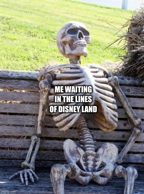 true | ME WAITING IN THE LINES OF DISNEY LAND | image tagged in memes,waiting skeleton | made w/ Imgflip meme maker