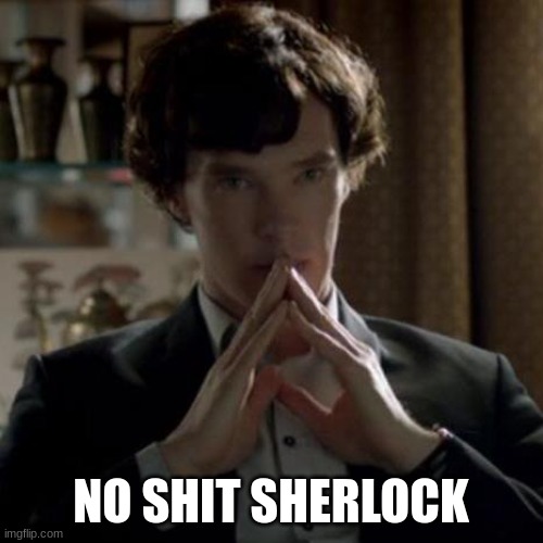 NoShitSherlock | NO SHIT SHERLOCK | image tagged in noshitsherlock | made w/ Imgflip meme maker