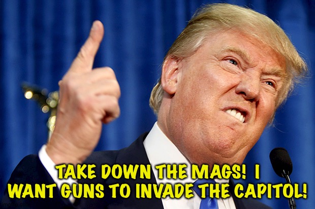 Donald Trump | TAKE DOWN THE MAGS!  I WANT GUNS TO INVADE THE CAPITOL! | image tagged in donald trump | made w/ Imgflip meme maker