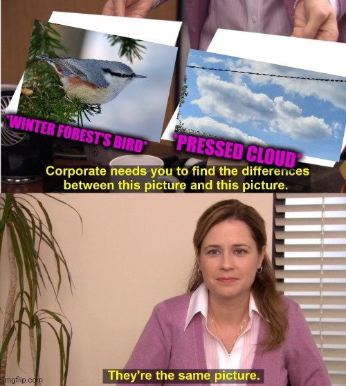 -Twitty handsome. | *WINTER FOREST'S BIRD*; *PRESSED CLOUD* | image tagged in memes,they're the same picture,big bird,soundcloud,totally looks like,winter is here | made w/ Imgflip meme maker