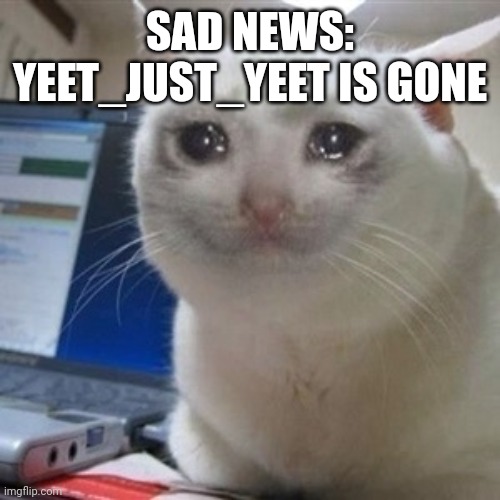 -it will never be the same again- | SAD NEWS: YEET_JUST_YEET IS GONE | image tagged in crying cat | made w/ Imgflip meme maker