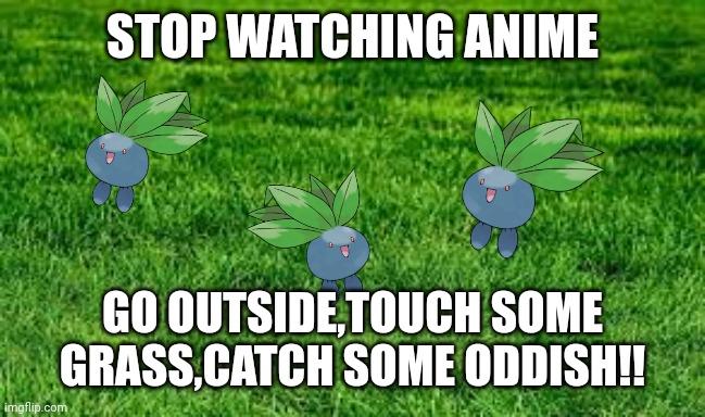 GO TOUCH GRASS |  STOP WATCHING ANIME; GO OUTSIDE,TOUCH SOME GRASS,CATCH SOME ODDISH!! | image tagged in touching grass,no anime,pokemon,anime meme,pokemon memes,anti anime | made w/ Imgflip meme maker