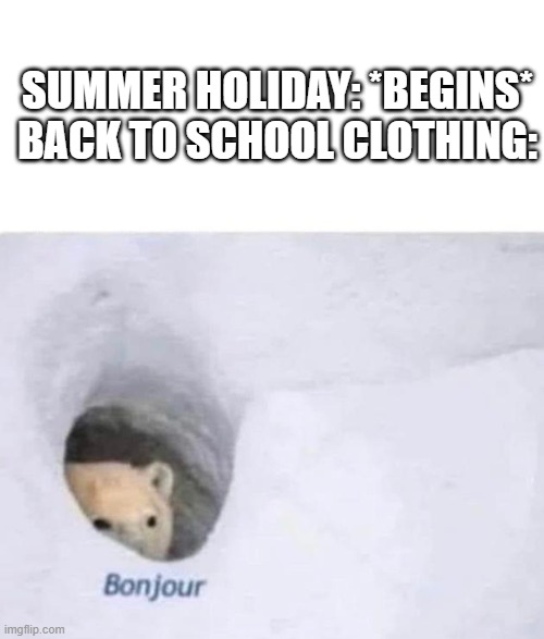 bonjour | SUMMER HOLIDAY: *BEGINS*
BACK TO SCHOOL CLOTHING: | image tagged in bonjour,summer vacation,memes,funny,oh wow are you actually reading these tags | made w/ Imgflip meme maker