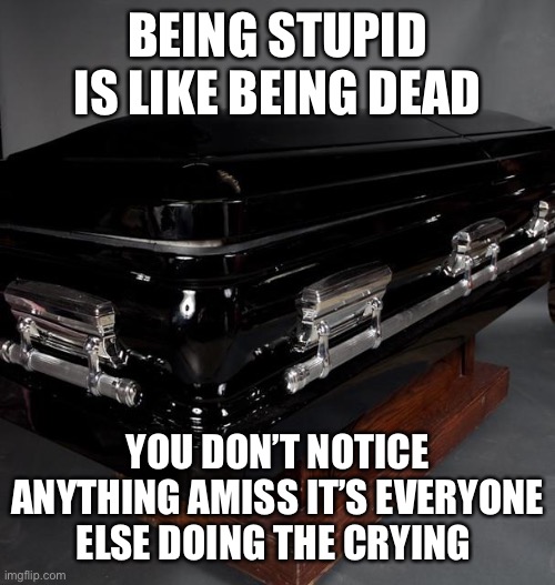 Casket | BEING STUPID IS LIKE BEING DEAD YOU DON’T NOTICE ANYTHING AMISS IT’S EVERYONE ELSE DOING THE CRYING | image tagged in casket | made w/ Imgflip meme maker