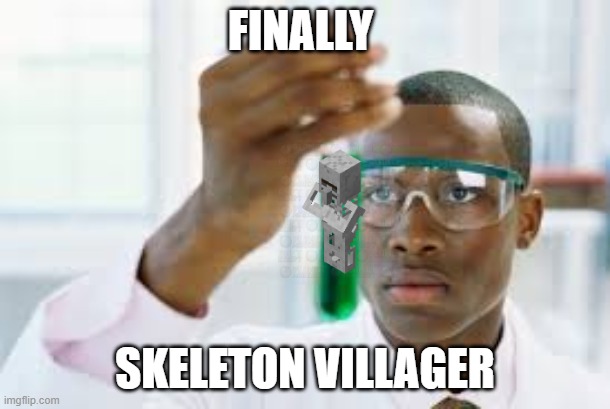 FINALLY | FINALLY; SKELETON VILLAGER | image tagged in finally | made w/ Imgflip meme maker