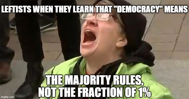 crying liberal | LEFTISTS WHEN THEY LEARN THAT "DEMOCRACY" MEANS; THE MAJORITY RULES, NOT THE FRACTION OF 1% | image tagged in crying liberal | made w/ Imgflip meme maker