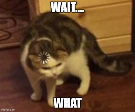 Loading cat | WAIT.... WHAT | image tagged in loading cat | made w/ Imgflip meme maker