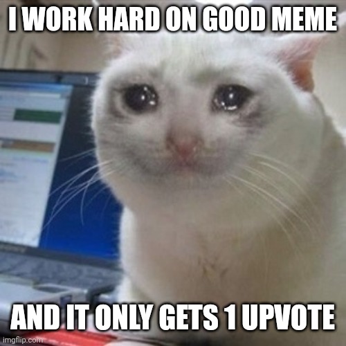 This is true story for me | I WORK HARD ON GOOD MEME; AND IT ONLY GETS 1 UPVOTE | image tagged in crying cat | made w/ Imgflip meme maker