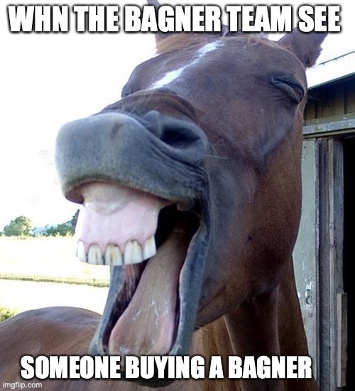 bagner | WHN THE BAGNER TEAM SEE; SOMEONE BUYING A BAGNER | image tagged in funny horse face | made w/ Imgflip meme maker