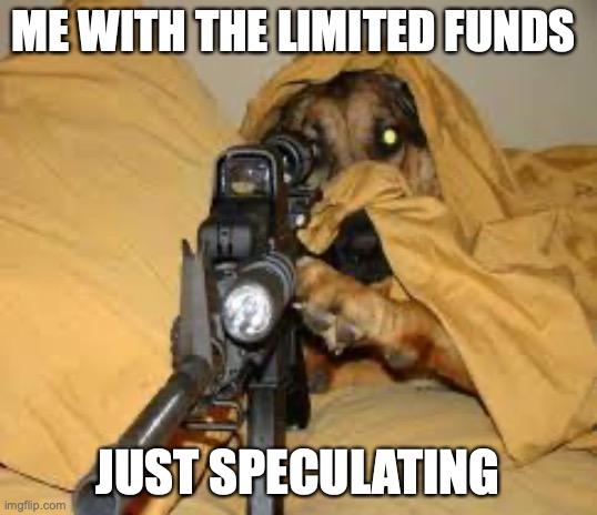 nft sniper | ME WITH THE LIMITED FUNDS; JUST SPECULATING | image tagged in funny animals | made w/ Imgflip meme maker
