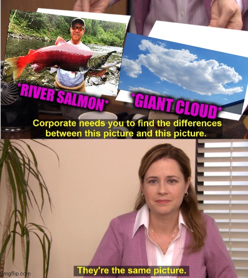 -Good catch! | *RIVER SALMON*; *GIANT CLOUD* | image tagged in memes,they're the same picture,fishing for upvotes,trolling the troll,salmon,totally looks like | made w/ Imgflip meme maker