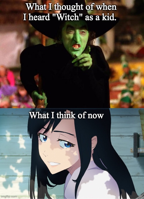 Burn The Witch meme. | What I thought of when I heard "Witch" as a kid. What I think of now | image tagged in wicked witch,anime meme | made w/ Imgflip meme maker
