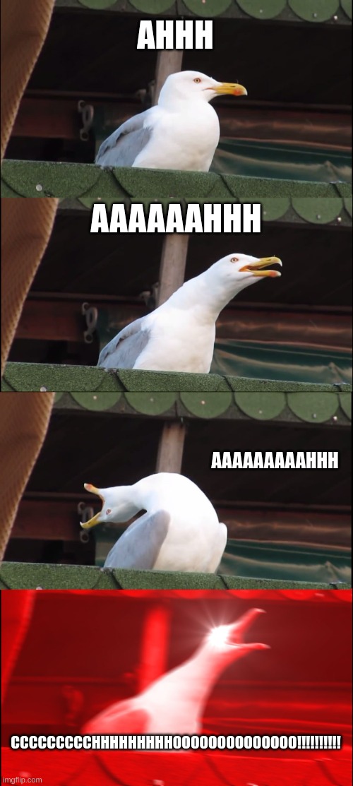 when your dad sneezes | AHHH; AAAAAAHHH; AAAAAAAAAHHH; CCCCCCCCCHHHHHHHHHOOOOOOOOOOOOOO!!!!!!!!!! | image tagged in memes,inhaling seagull | made w/ Imgflip meme maker