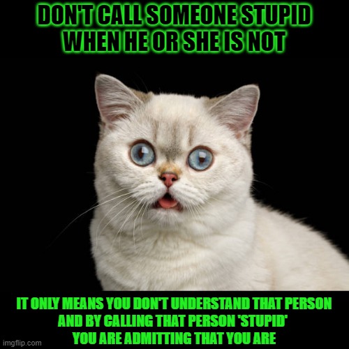 This #lolcat wonders is people know that calling someone they don't understand 'stupid' means they are | DON'T CALL SOMEONE STUPID
WHEN HE OR SHE IS NOT; IT ONLY MEANS YOU DON'T UNDERSTAND THAT PERSON
AND BY CALLING THAT PERSON 'STUPID' 
YOU ARE ADMITTING THAT YOU ARE | image tagged in lolcat,stupid,social media,think about it | made w/ Imgflip meme maker
