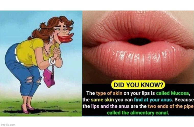 Mucosa | image tagged in sexy lips | made w/ Imgflip meme maker