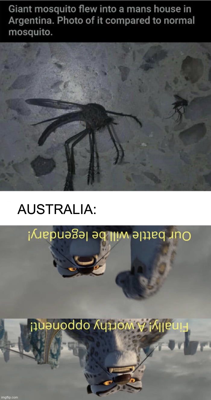 AUSTRALIA: | image tagged in memes,funny | made w/ Imgflip meme maker