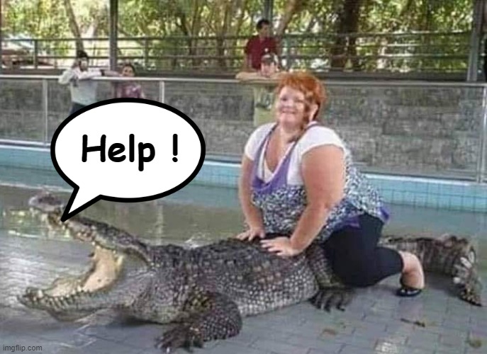 Poor creature ! | Help ! | image tagged in crocodile | made w/ Imgflip meme maker