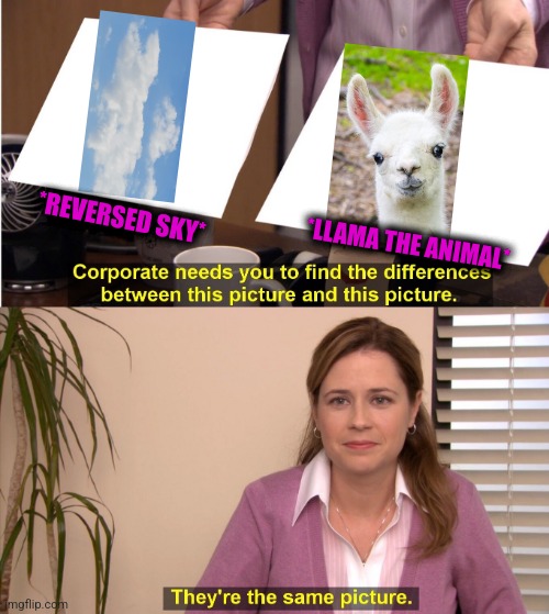 -They are nice and soft heart. | *REVERSED SKY*; *LLAMA THE ANIMAL* | image tagged in memes,they're the same picture,llama,soundcloud,reverse kalm panik,totally looks like | made w/ Imgflip meme maker