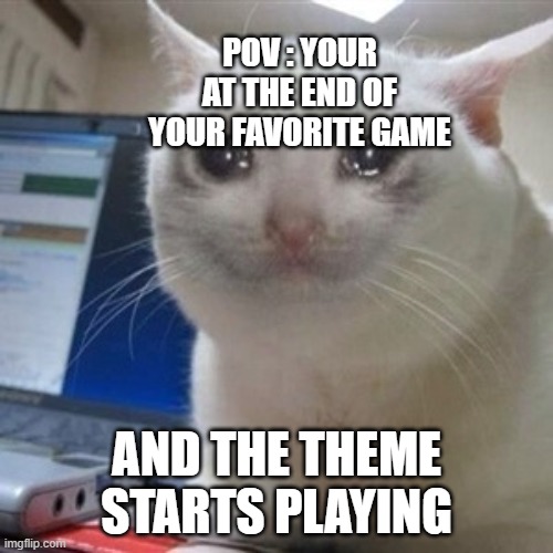 Crying cat | POV : YOUR AT THE END OF YOUR FAVORITE GAME; AND THE THEME STARTS PLAYING | image tagged in crying cat | made w/ Imgflip meme maker
