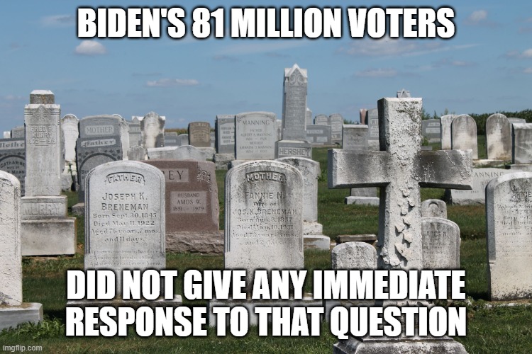 Cemetary | BIDEN'S 81 MILLION VOTERS DID NOT GIVE ANY IMMEDIATE RESPONSE TO THAT QUESTION | image tagged in cemetary | made w/ Imgflip meme maker