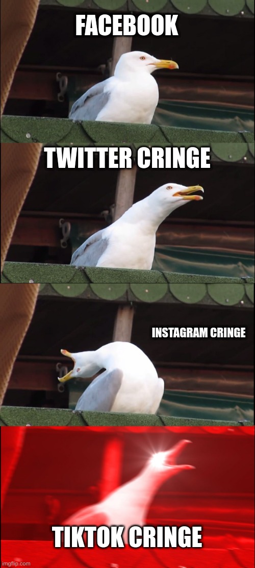 social media cringe meter | FACEBOOK; TWITTER CRINGE; INSTAGRAM CRINGE; TIKTOK CRINGE | image tagged in memes,inhaling seagull | made w/ Imgflip meme maker