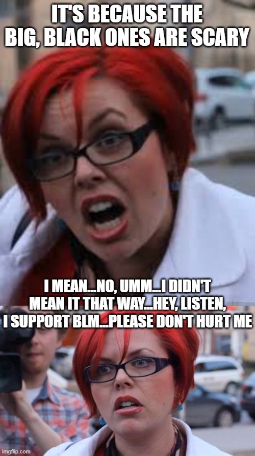 IT'S BECAUSE THE BIG, BLACK ONES ARE SCARY I MEAN...NO, UMM...I DIDN'T MEAN IT THAT WAY...HEY, LISTEN, I SUPPORT BLM...PLEASE DON'T HURT ME | image tagged in sjw triggered,angry feminist | made w/ Imgflip meme maker