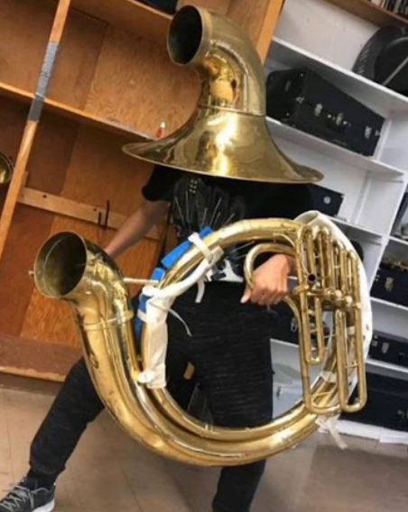 High Quality Tuba Royale Guard Blank Meme Template