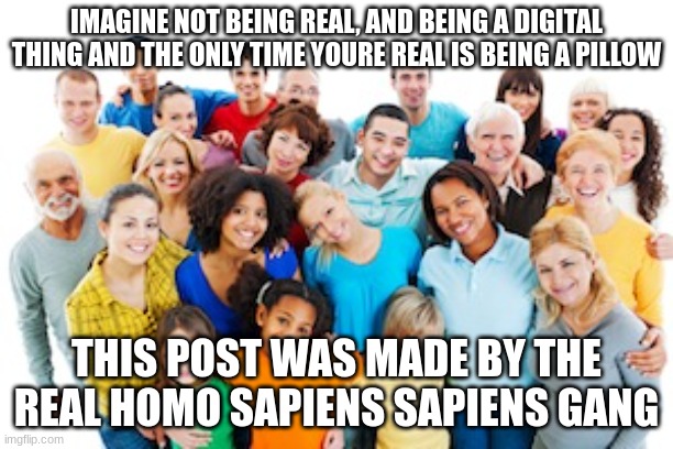  IMAGINE NOT BEING REAL, AND BEING A DIGITAL THING AND THE ONLY TIME YOURE REAL IS BEING A PILLOW; THIS POST WAS MADE BY THE REAL HOMO SAPIENS SAPIENS GANG | image tagged in aaa,memes,funny | made w/ Imgflip meme maker