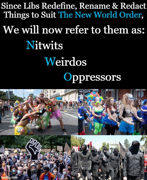 NWO | image tagged in politics,liberals,democrats,leftists,new world order,nwo | made w/ Imgflip meme maker