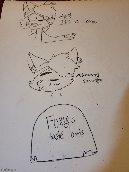 Opal's to smart to eat a whole lemon so I got Foxy | image tagged in lemon | made w/ Imgflip meme maker