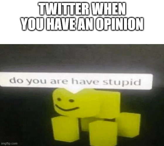 Do You Are Have Stupid | TWITTER WHEN YOU HAVE AN OPINION | image tagged in do you are have stupid | made w/ Imgflip meme maker