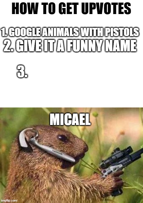 give micael some upvotes, you know you want to (NOT an upvote beg post) | HOW TO GET UPVOTES; 1. GOOGLE ANIMALS WITH PISTOLS; 2. GIVE IT A FUNNY NAME; 3. MICAEL | image tagged in blank white template | made w/ Imgflip meme maker