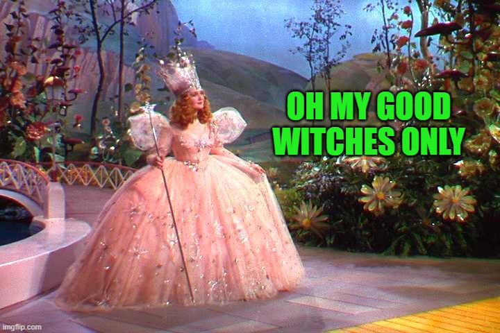 OH MY GOOD WITCHES ONLY | made w/ Imgflip meme maker