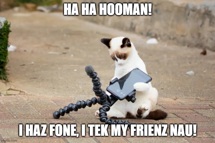 I Haz Fone! | HA HA HOOMAN! I HAZ FONE, I TEK MY FRIENZ NAU! | image tagged in cat,funny cats,cats,phone,cell phone,smartphone | made w/ Imgflip meme maker
