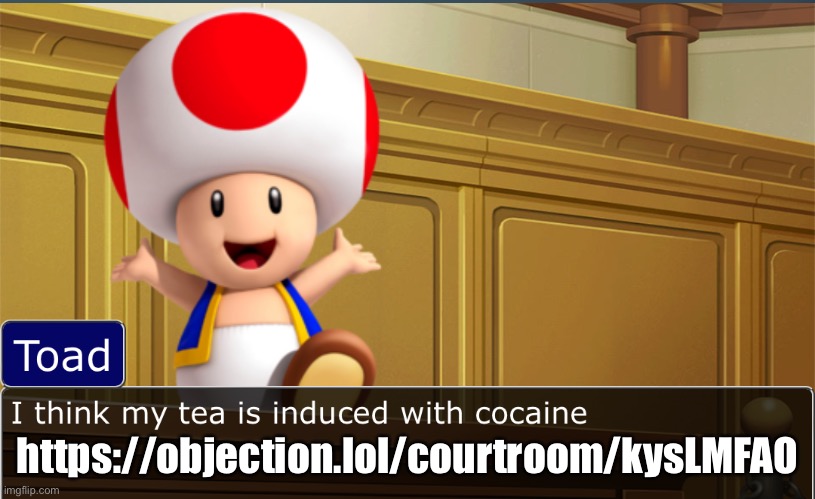 https://objection.lol/courtroom/kysLMFAO | made w/ Imgflip meme maker