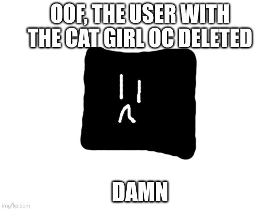 Blank White Template | OOF, THE USER WITH THE CAT GIRL OC DELETED; DAMN | image tagged in blank white template | made w/ Imgflip meme maker