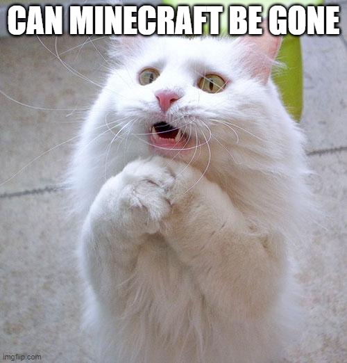 Begging Cat | CAN MINECRAFT BE GONE | image tagged in begging cat | made w/ Imgflip meme maker