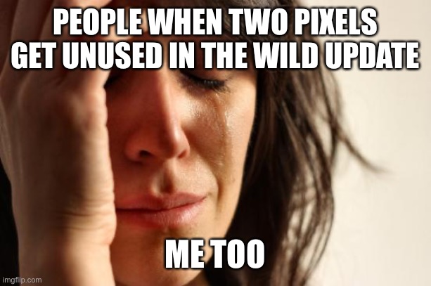 First World Problems Meme | PEOPLE WHEN TWO PIXELS GET UNUSED IN THE WILD UPDATE ME TOO | image tagged in memes,first world problems | made w/ Imgflip meme maker
