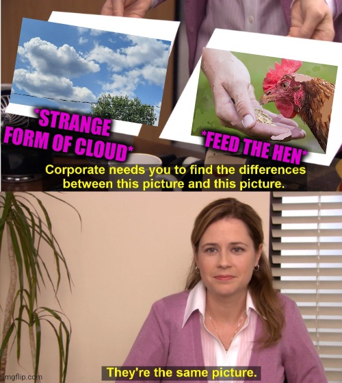 -One wheat and good. | *STRANGE FORM OF CLOUD*; *FEED THE HEN* | image tagged in memes,they're the same picture,red hen,buckwheat,feed me,totally looks like | made w/ Imgflip meme maker