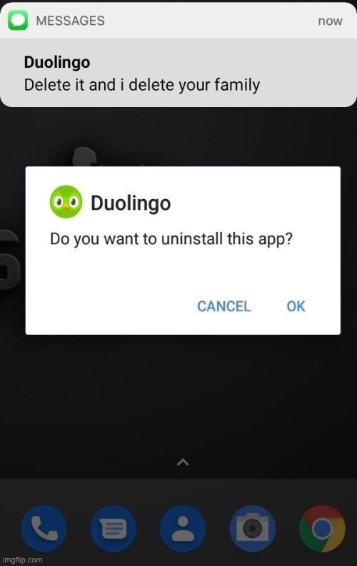 Duolingo | image tagged in duolingo,duolingo notification,rut ro | made w/ Imgflip meme maker
