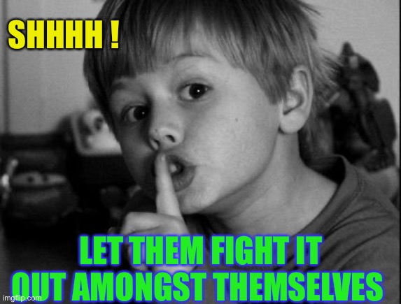 Shhhh | SHHHH ! LET THEM FIGHT IT OUT AMONGST THEMSELVES | image tagged in shhhh | made w/ Imgflip meme maker