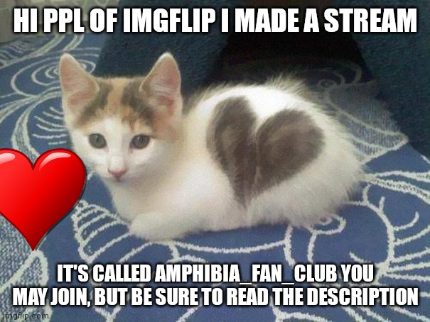 cute cat heart | HI PPL OF IMGFLIP I MADE A STREAM; IT'S CALLED AMPHIBIA_FAN_CLUB YOU MAY JOIN, BUT BE SURE TO READ THE DESCRIPTION | image tagged in cute cat heart | made w/ Imgflip meme maker