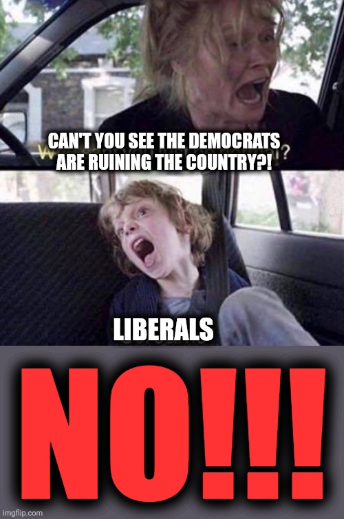 Can they not see what's happening, or do they like it? |  CAN'T YOU SEE THE DEMOCRATS ARE RUINING THE COUNTRY?! LIBERALS; NO!!! | image tagged in why can't you just be normal,memes,democrats,joe biden,destruction of america,liberals | made w/ Imgflip meme maker