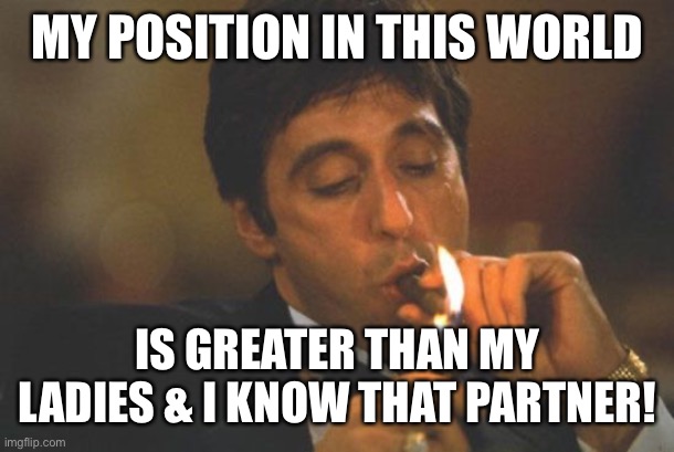 Jroc113 | MY POSITION IN THIS WORLD; IS GREATER THAN MY LADIES & I KNOW THAT PARTNER! | image tagged in scarface serious | made w/ Imgflip meme maker
