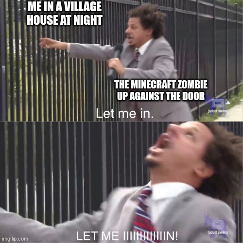 let me in | ME IN A VILLAGE HOUSE AT NIGHT; THE MINECRAFT ZOMBIE UP AGAINST THE DOOR | image tagged in let me in | made w/ Imgflip meme maker
