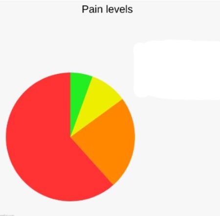 High Quality Levels of Pain Blank Meme Template