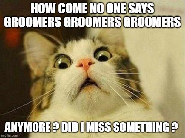 Scared Cat Meme | HOW COME NO ONE SAYS GROOMERS GROOMERS GROOMERS; ANYMORE ? DID I MISS SOMETHING ? | image tagged in memes,scared cat | made w/ Imgflip meme maker